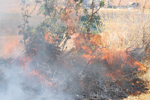 Presentan Plan Especial por Temporada de Incendios Forestales en Aguascalientes 2019