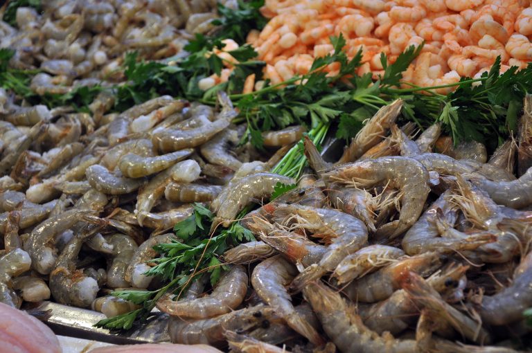 Emiten recomendaciones a quienes consumen pescado y mariscos en Aguascalientes