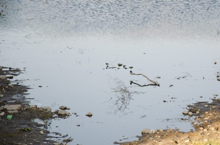 Enfrenta el estado de Aguascalientes,  retos importantes en seguridad hídrica