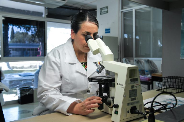 Desarrolla UAA estrategia que reduce hasta un 80 por ciento las aflatoxinas