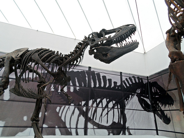 Invitan a inscribir a niños en talleres del Día de Dinosaurios en Aguascalientes