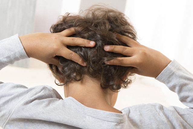 Realizan acciones en escuelas de Aguascalientes para la prevención de piojos