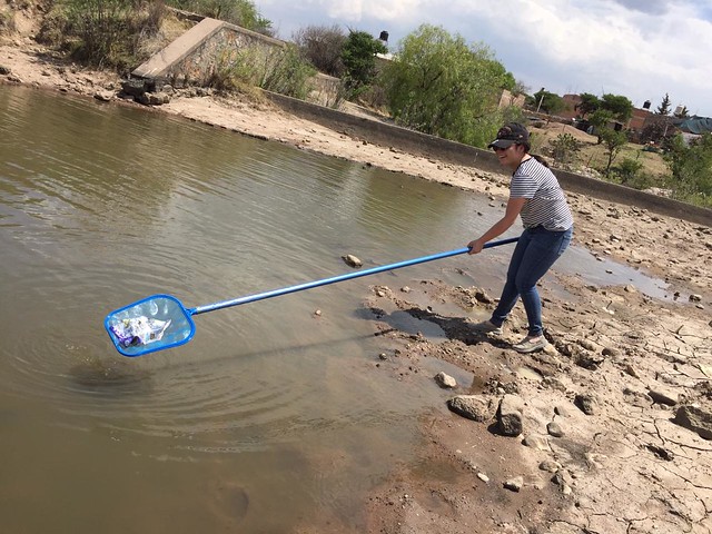 Suman ya siete brigadas de voluntarios de Aguascalientes para reforestar y limpiar la ciudad