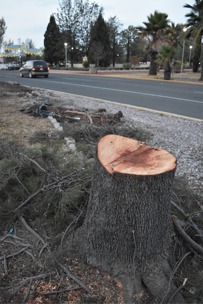Imágenes de Aguascalientes