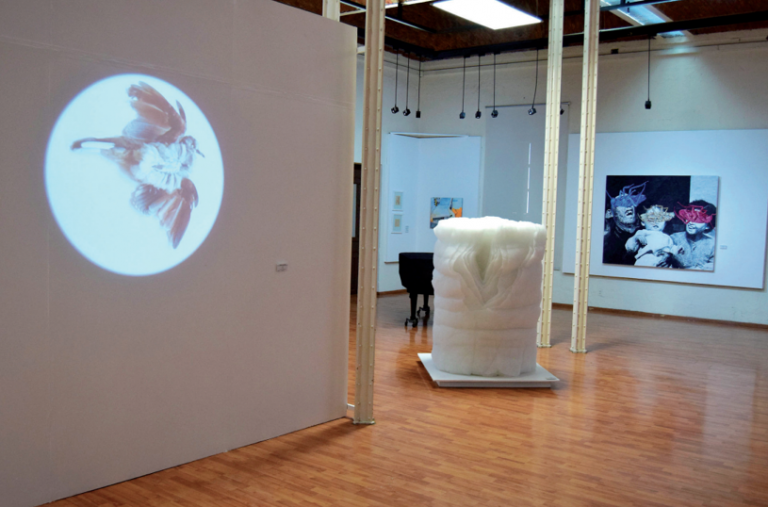 Leonardo Barrera, ganador del Encuentro Nacional de Arte Joven 2019 de Aguascalientes, acerca de sus pájaros muertos