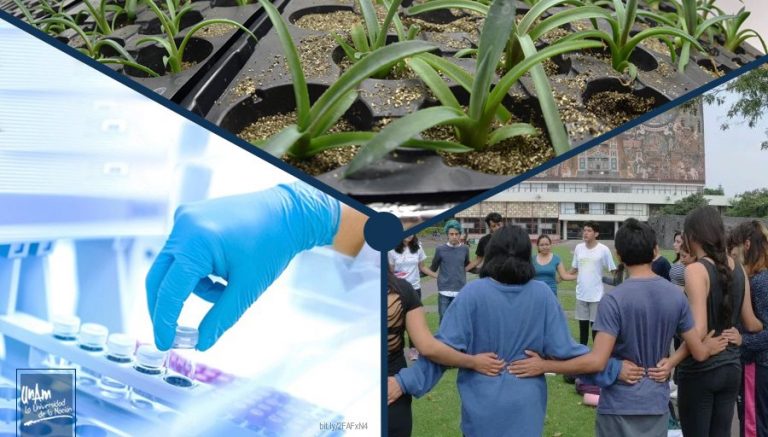 Presentan en la UNAM 100 Propuestas para el Desarrollo 2019-2024