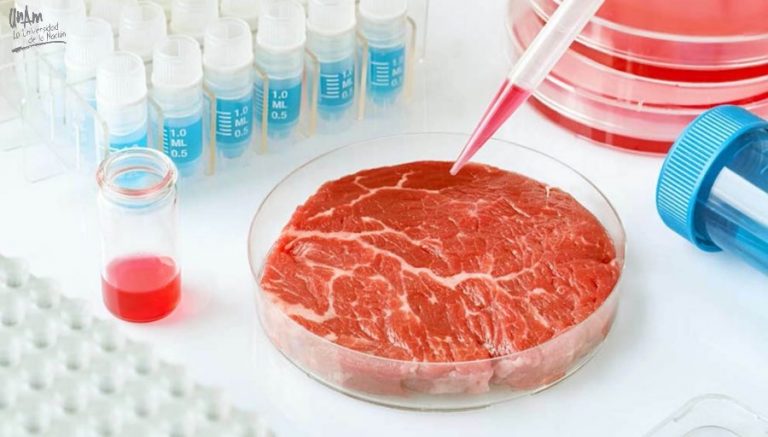 La carne cultivada in vitro, opción alimentaria a futuro