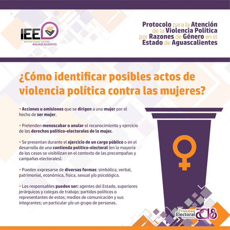 Habilita IEE Protocolo para la Atención de la Violencia Política por Razones de Género en Aguascalientes