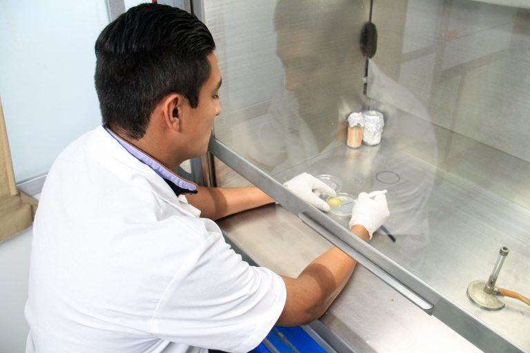 Estudia Autónoma de Aguascalientes presencia de aflatoxinas en el maíz