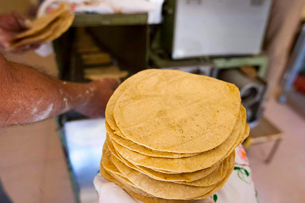 Crean mexicanos tortilla de cebada para ayudar en el control de glucosa en sangre