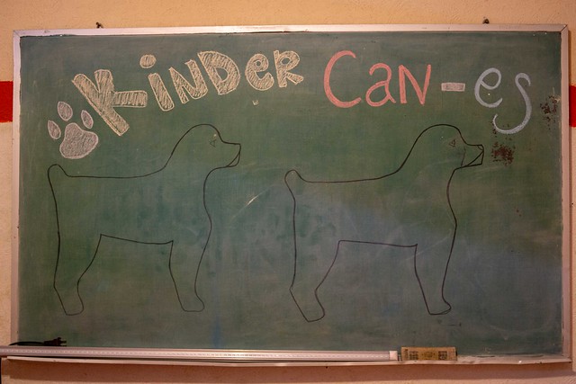 Aguascalientes tiene nuevo kínder, para perros