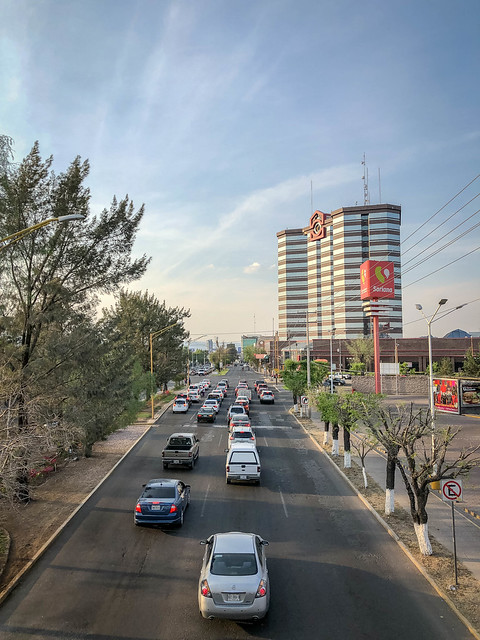 Se sancionará en Aguascalientes a quienes tiren basura desde vehículos