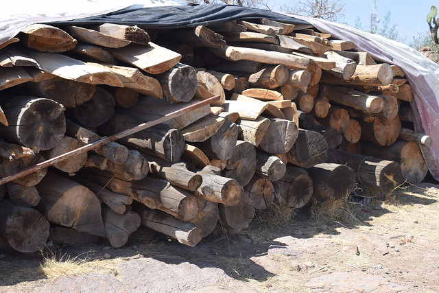 Sin restricciones, entraba madera ilegal al estado