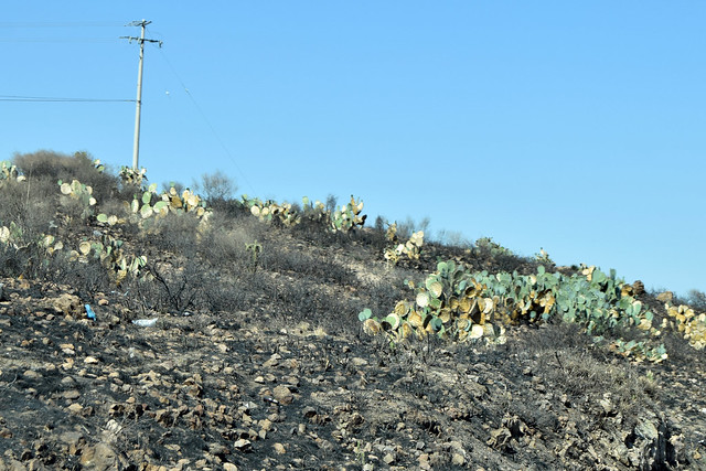 Aguascalientes, en sequía leve