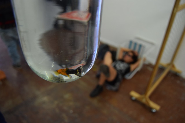 Cae sol, de Ana María Morales López