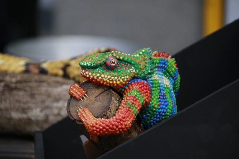 Autónoma de Aguascalientes congrega a más de 150 especialistas en el estudio de vipéridos