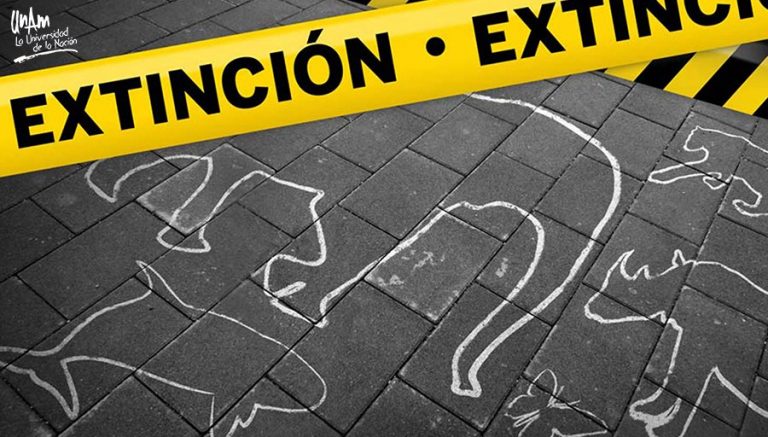 Un millón de especies en peligro de extinción por 300 toneladas de contaminantes