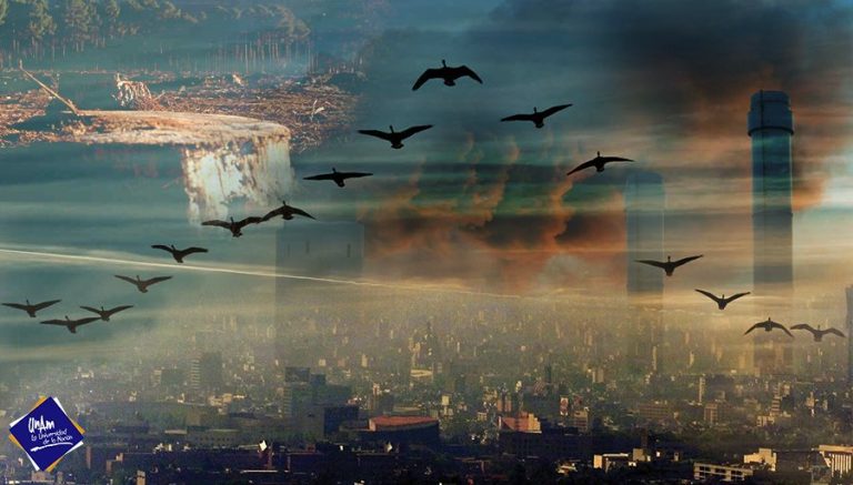 Es la migración fundamental para las aves y para el equilibrio ecológico