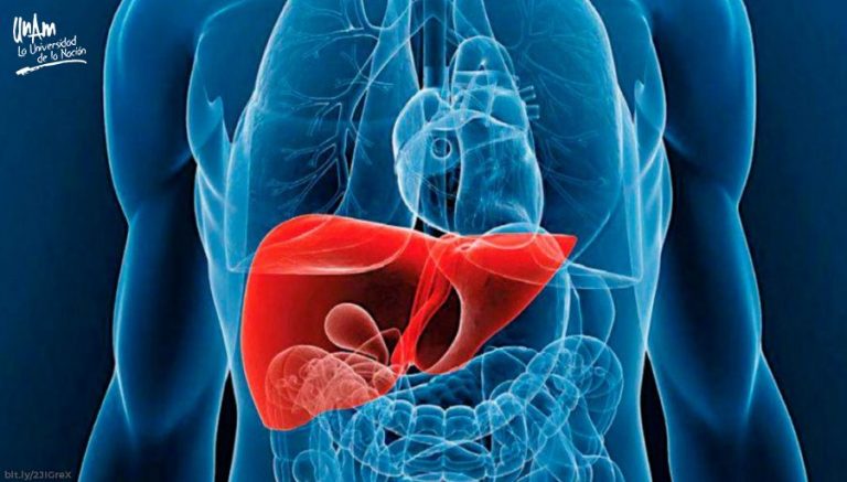 Obtiene la UNAM patente de fórmula química para proteger el hígado de pacientes con VIH/SIDA