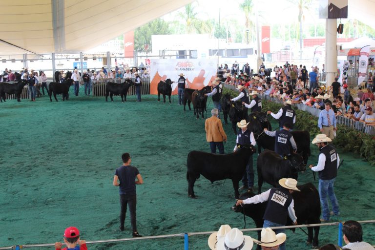 Exitoso arranque de Expo Ganadera y Expo Agroalimentaria en la FNSM