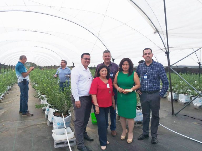 Sedrae Aguascalientes conoce esquema de financiamiento para el sector rural en Morelia