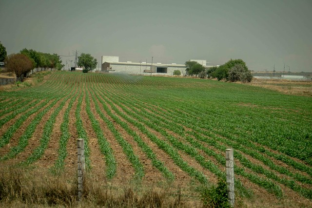 Se fortalece el desarrollo del sector agroalimentario en la Alianza Centro-Bajío-Occidente