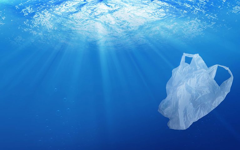 Más de 13 millones de toneladas de desechos plásticos ingresan cada año a los océanos