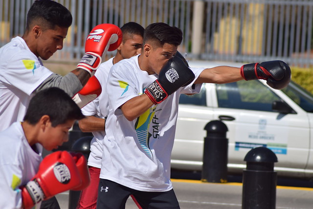 Diputados de Aguascalientes recibieron al presidente de la Comisión de Box, Lucha Libre y Artes Marciales