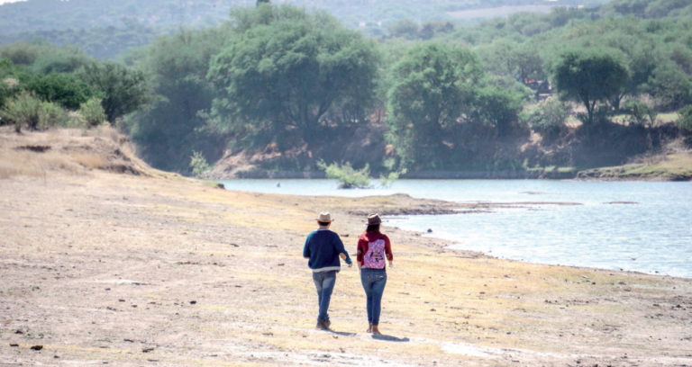 Decretan al Bosque de Cobos área natural protegida de Aguascalientes
