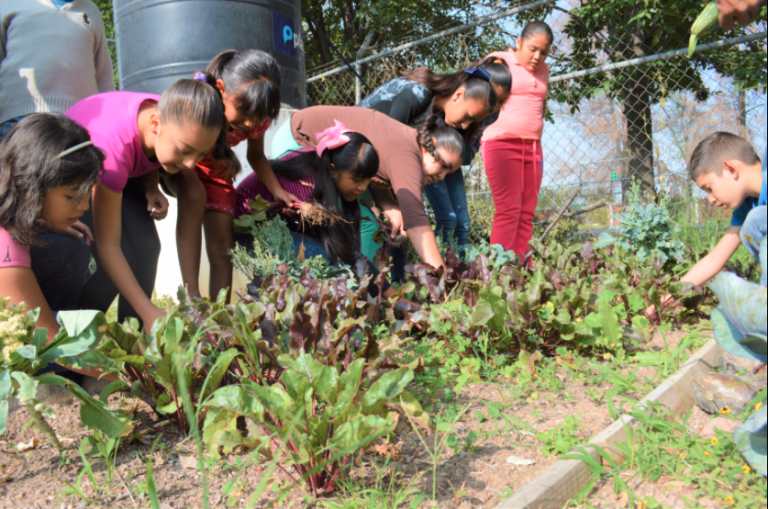 Invitan a menores a curso De Corazón por el Planeta en Aguascalientes
