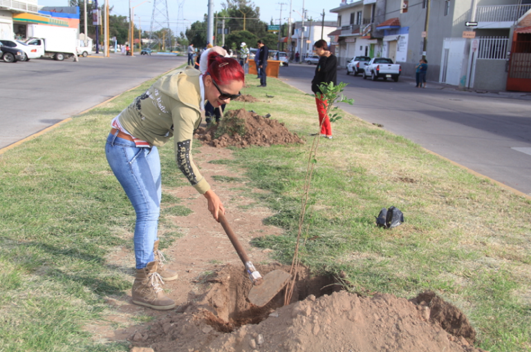 Comienza municipio de Aguascalientes campaña intensiva de reforestación