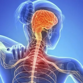 Captura de pantalla 2019-06-21 a la(s) 22.40.56