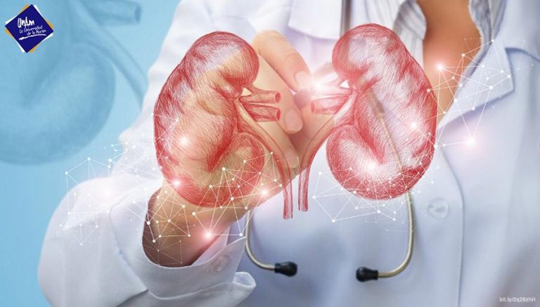 Logra universitaria detener en laboratorio retención de sal en riñones e hipertensión arterial