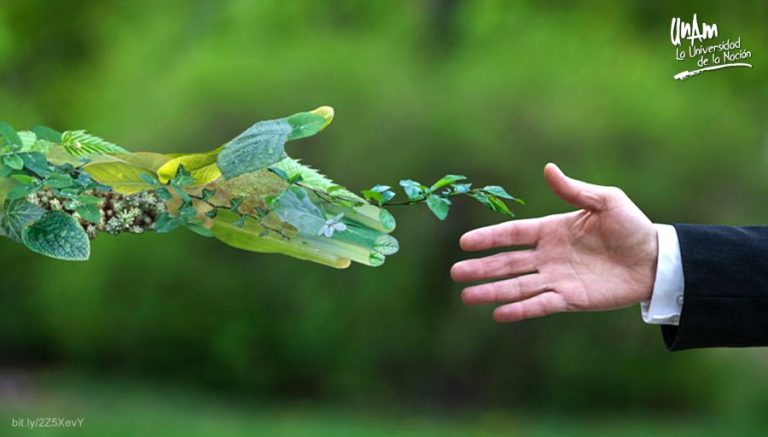 Proponen medidas para evitar colapso ambiental