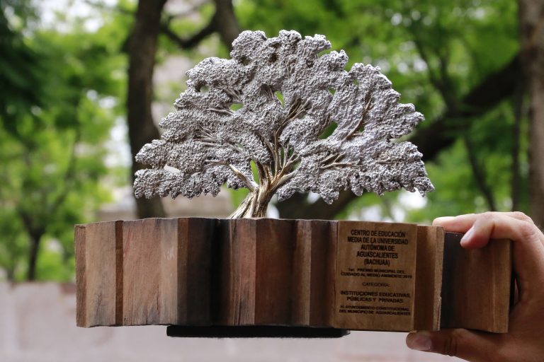 Gana Bachuaa Premio Municipal del Cuidado al Medio Ambiente 2019 de Aguascalientes