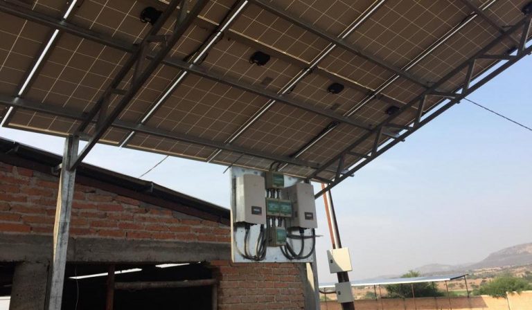 Abren programa para adquisición de paneles solares para lecheros y porcicultores en Aguascalientes