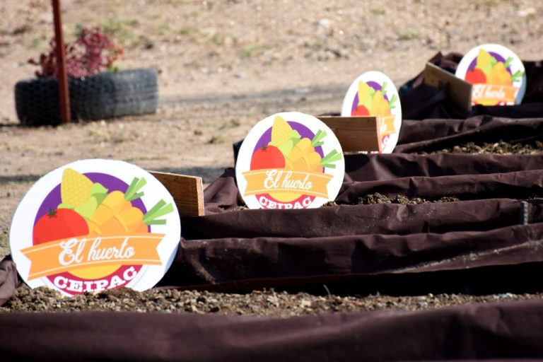 Promueven el cultivo entre alumnos de Aguascalientes con huerto escolar