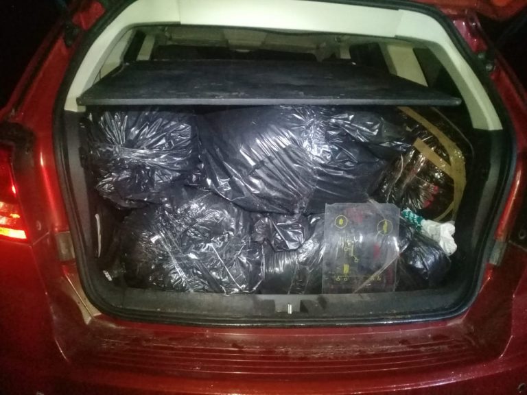 Asegura SSPE 120 kilos de marihuana en Calvillo, Aguascalientes