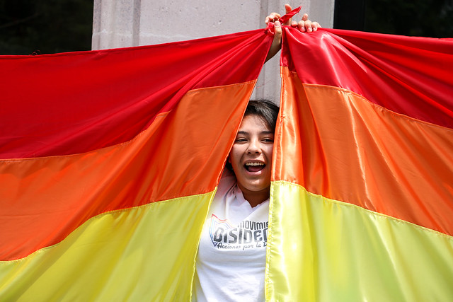 No hay transformación posible de este país sin la diversidad sexual