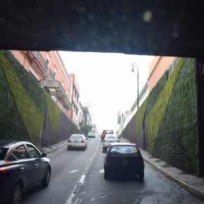 29103354037_78a5bafe6b_z