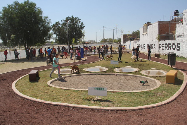 Emite municipio de Aguascalientes recomendaciones para el cuidado de mascotas