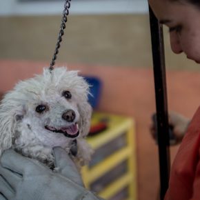 33975130918_8d43b7779c_z