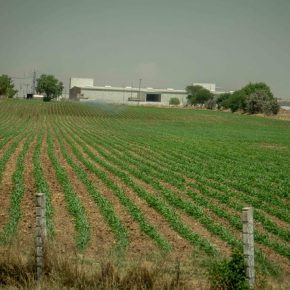 33996078978_16a64947fa_z