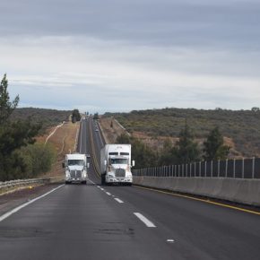 47151452192_ea406f1680_z