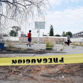 48010577477_21e1d8ee46_z