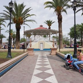 48208080011_76fe556e13_z