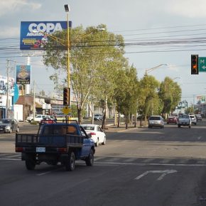 48303642456_9f87fe256c_z