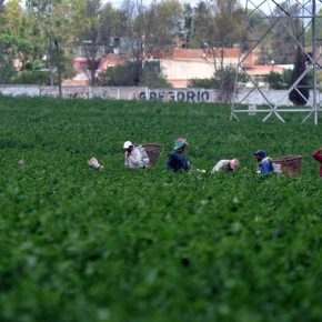 7383474098_0e438769c1_z