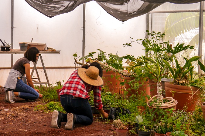 Celebran día del jardinero en Aguascalientes