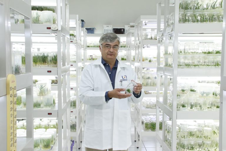 Clona Autónoma de Aguascalientes plantas endémicas para su conservación   